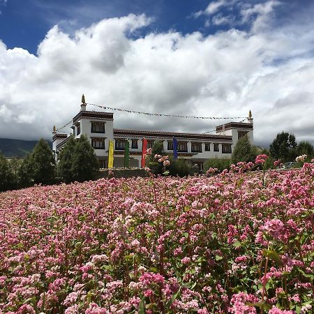 Royal Mustang Resort Nāmbo Eksteriør bilde
