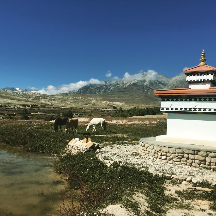 Royal Mustang Resort Nāmbo Eksteriør bilde