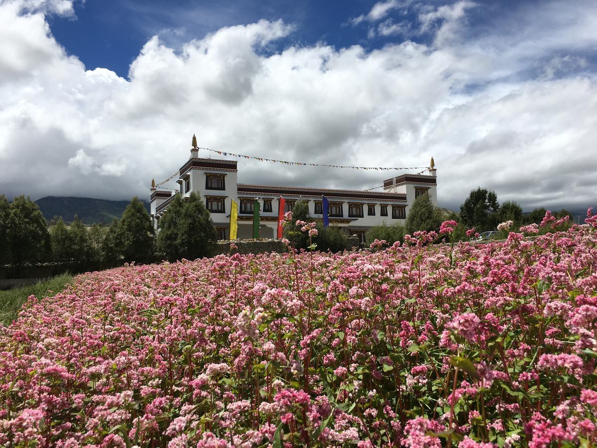 Royal Mustang Resort Nāmbo Eksteriør bilde